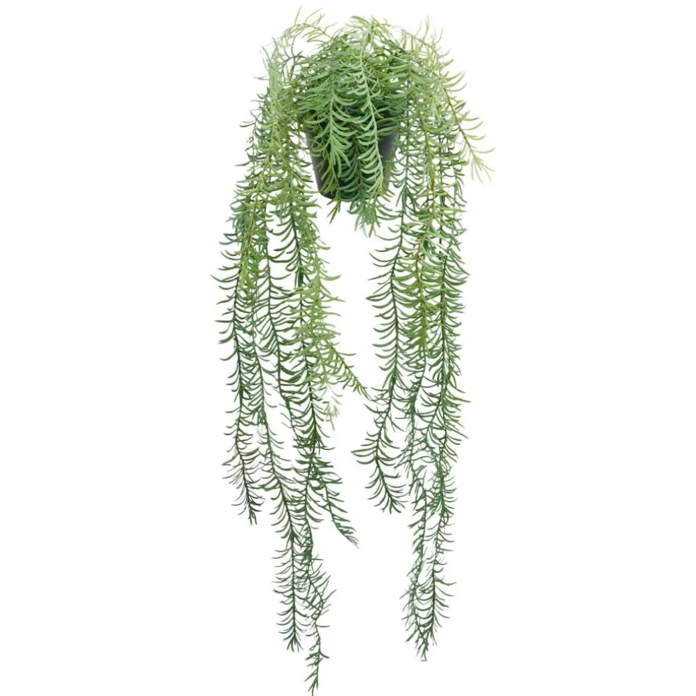 18" Potted Rosemary Plant by Ashland®