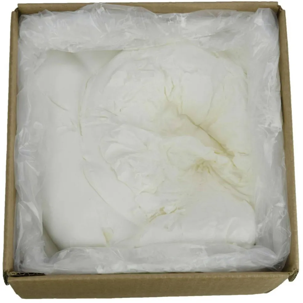 23 Pound Brill Vanilla Smooth and Light Buttercreme Icing 23 Per Case