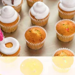 0.75 Pound Rich's Whipped Vanilla Bettercreme Icing Light and Creamy 15 Per Case