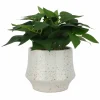 10" Premade Faux Plant in Speckled Ceramic Container by Ashland®