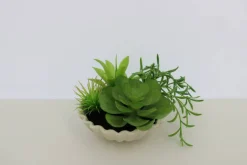 7" Premade Succulent Mix in Ceramic Ruffle Bowl by Ashland®