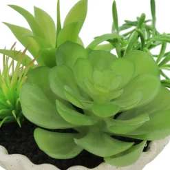 7" Premade Succulent Mix in Ceramic Ruffle Bowl by Ashland®
