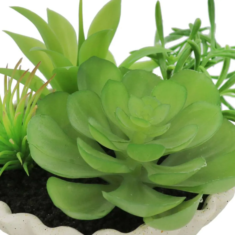7" Premade Succulent Mix in Ceramic Ruffle Bowl by Ashland®