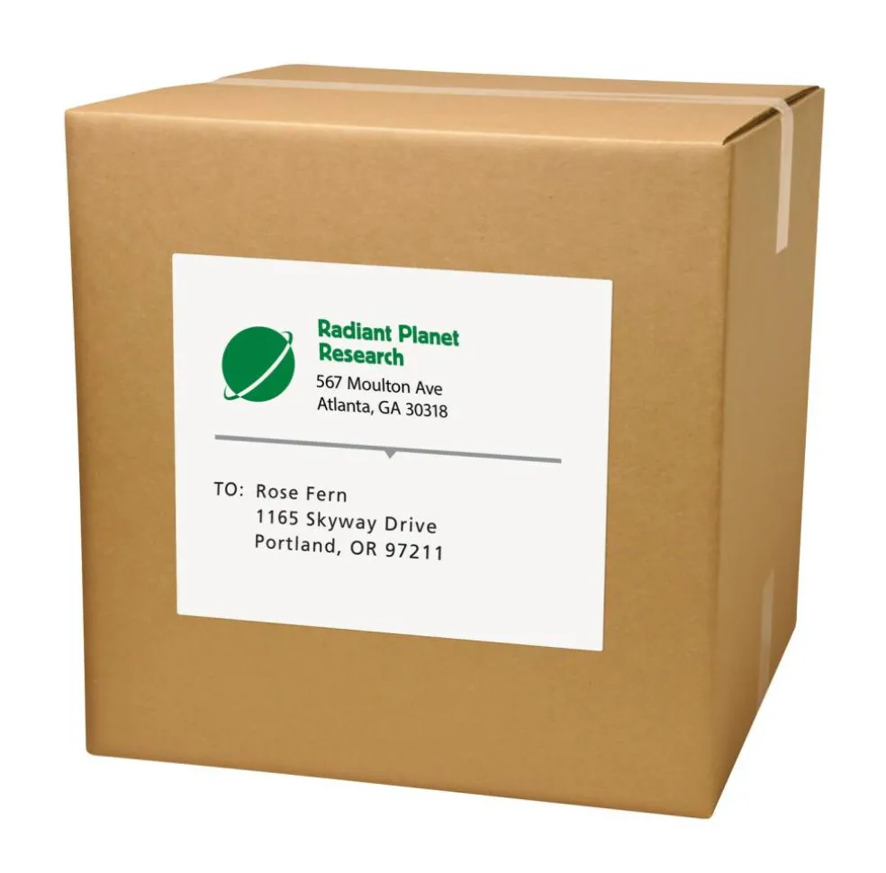 PRES-a-ply White Labels, 8-1/2" x 11", Permanent-Adhesive, 1-up, 100 labels