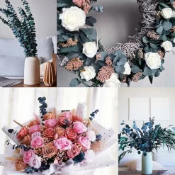 Preserved-Dried-Eucalyptus-Stems,16-17" Natural Blue-Green Eucalyptu Plant Live Fresh, Real Eucalyptus Branches Leaves for Shower Spa, Blue Dried Flowers for Vase Fillers, Home Decor & Wedding (16Pcs)