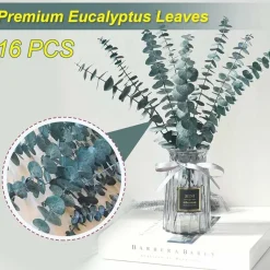 Preserved-Dried-Eucalyptus-Stems,16-17" Natural Blue-Green Eucalyptu Plant Live Fresh, Real Eucalyptus Branches Leaves for Shower Spa, Blue Dried Flowers for Vase Fillers, Home Decor & Wedding (16Pcs)