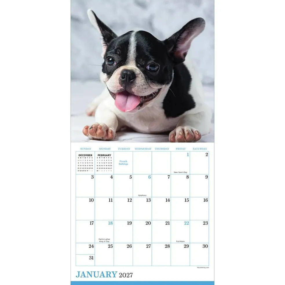 2027 Puppies Mini Calendar