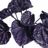 7" Purple Begonia Bush by Ashland®