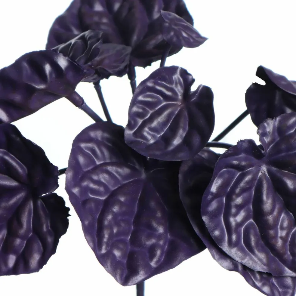 7" Purple Begonia Bush by Ashland®
