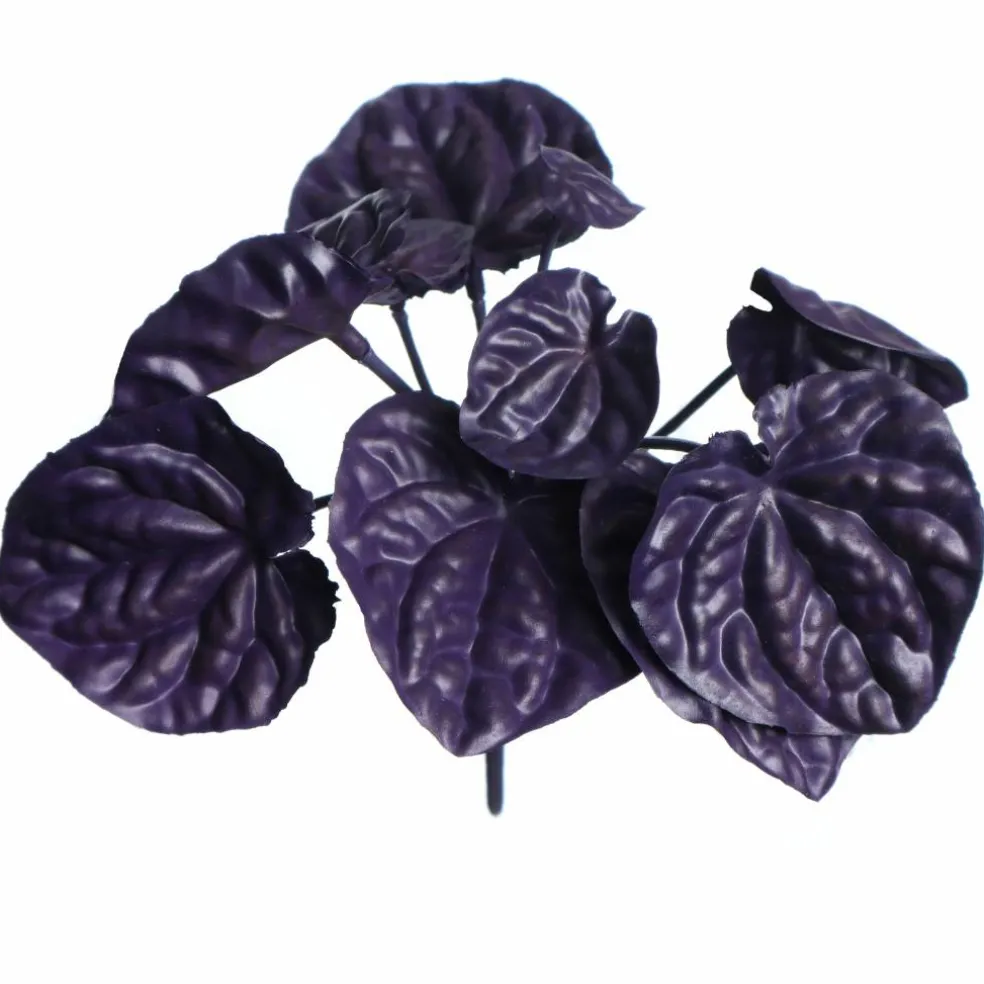 7" Purple Begonia Bush by Ashland®