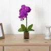 24" Purple Moth Orchid Arrangement in Vase