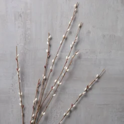 Pussy Willow Stem by Ashland®