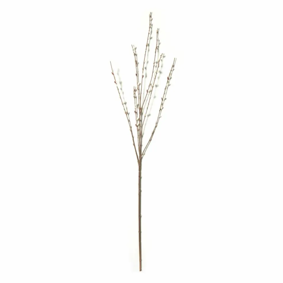 Pussy Willow Stem by Ashland®