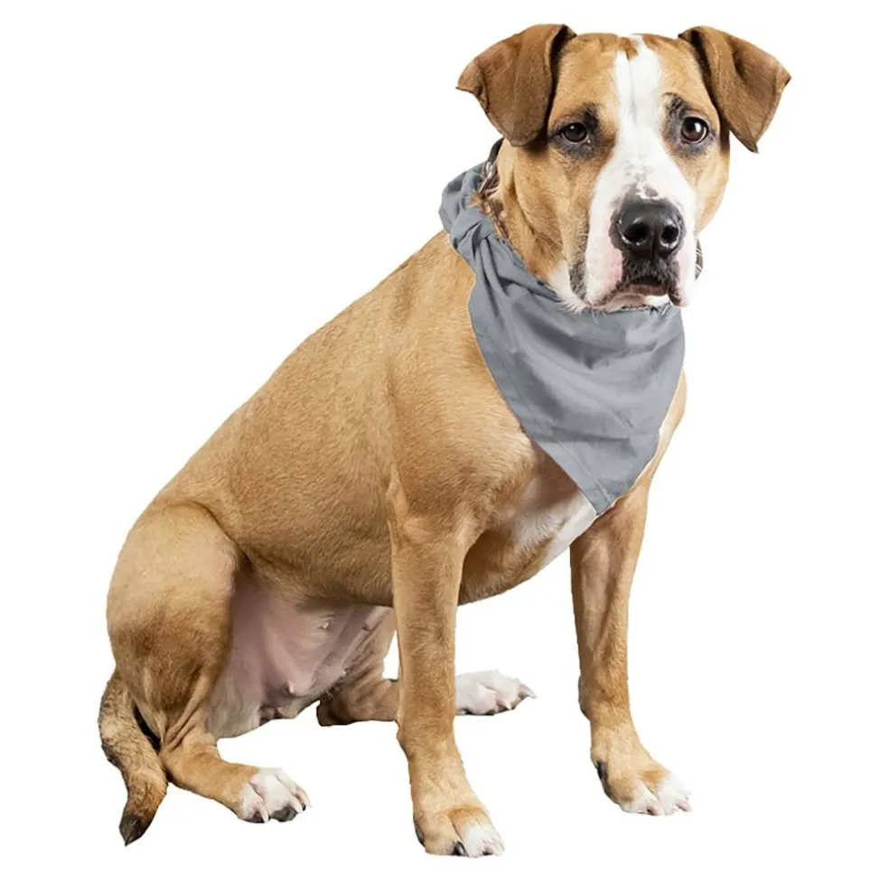 Qraftsy Plain Cotton Pets 5 Pcs Dogs Bandana Triangle Shape - Large Pets