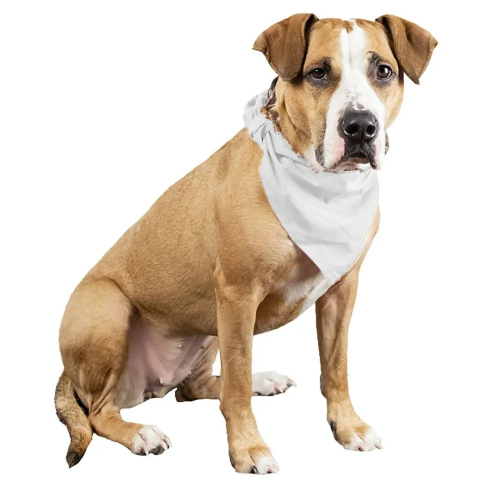 Qraftsy Plain Cotton Pets 5 Pcs Dogs Bandana Triangle Shape - Large Pets