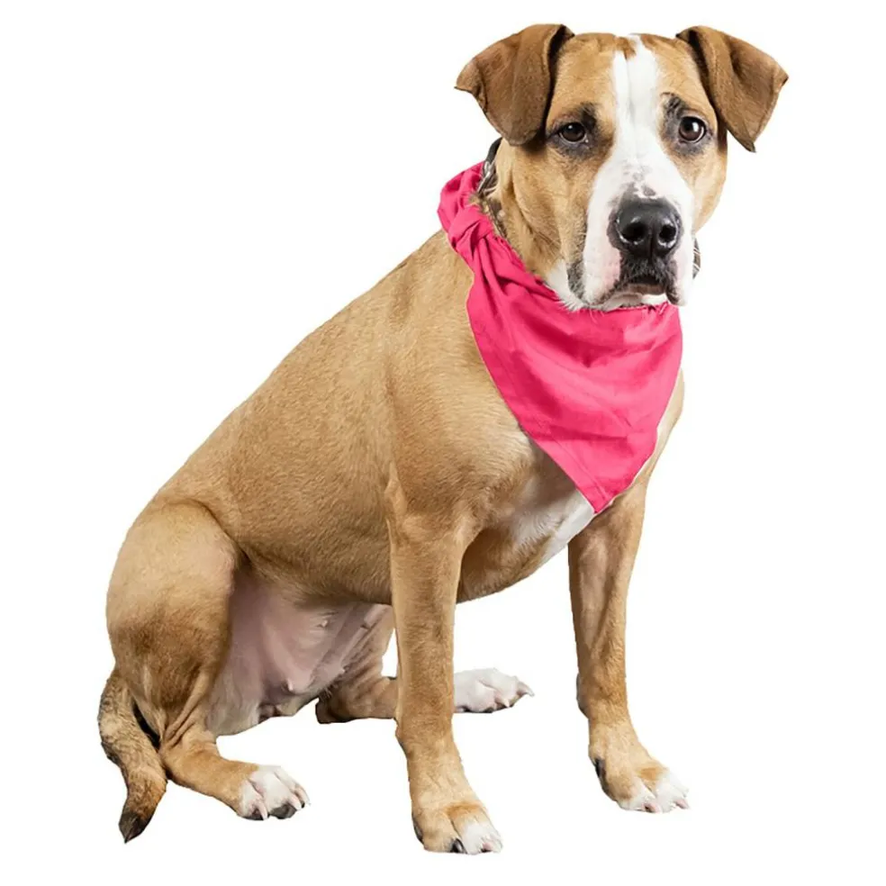 Qraftsy Plain Cotton Pets 5 Pcs Dogs Bandana Triangle Shape - Large Pets