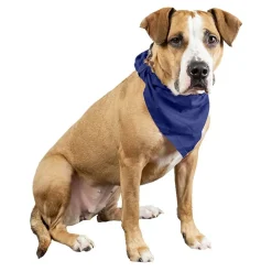 Qraftsy Plain Cotton Pets 5 Pcs Dogs Bandana Triangle Shape - Large Pets