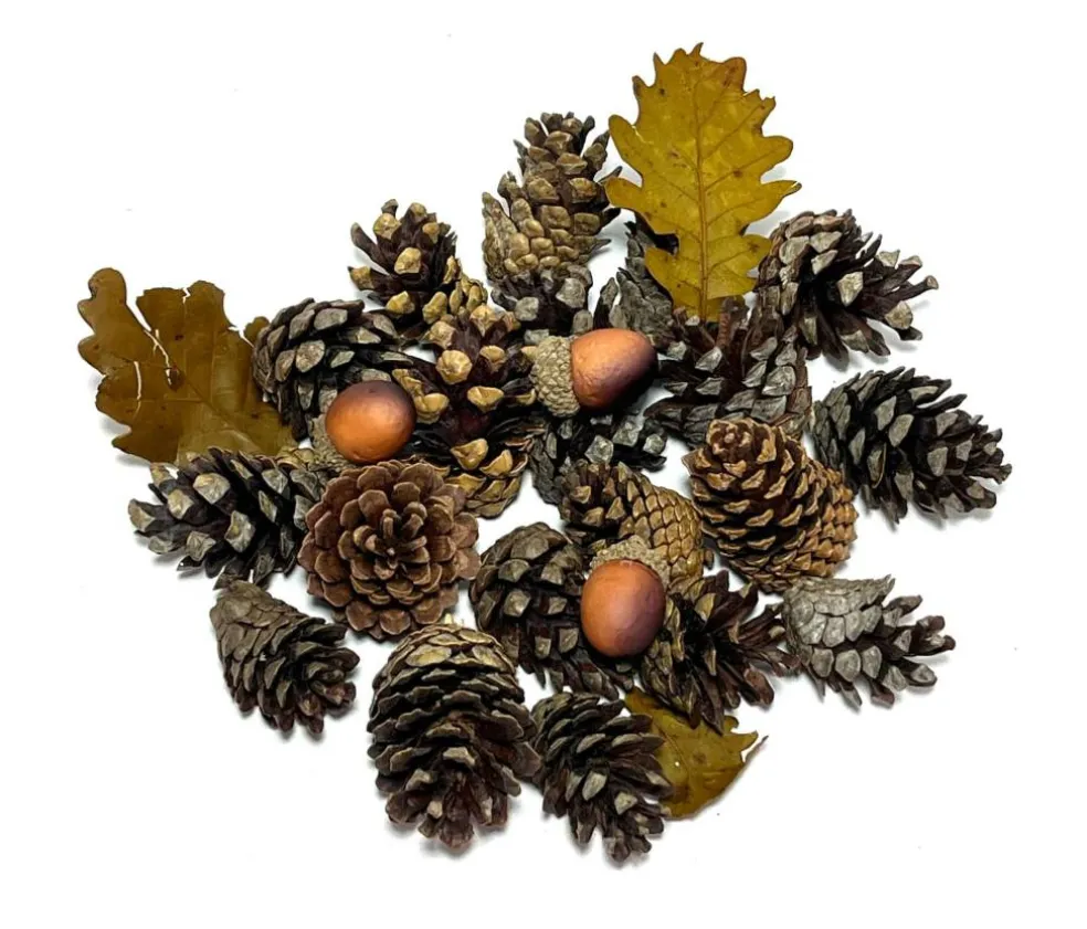 1qt. Pecan Caramel Scented Pinecones & Acorns by Ashland®