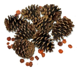3qt. Pecan Caramel Scented Pinecones by Ashland®