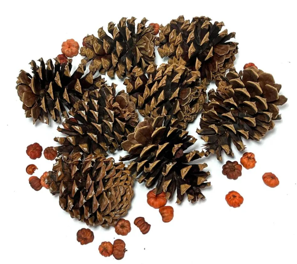 3qt. Pecan Caramel Scented Pinecones by Ashland®