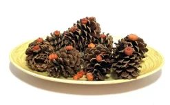 3qt. Pecan Caramel Scented Pinecones by Ashland®