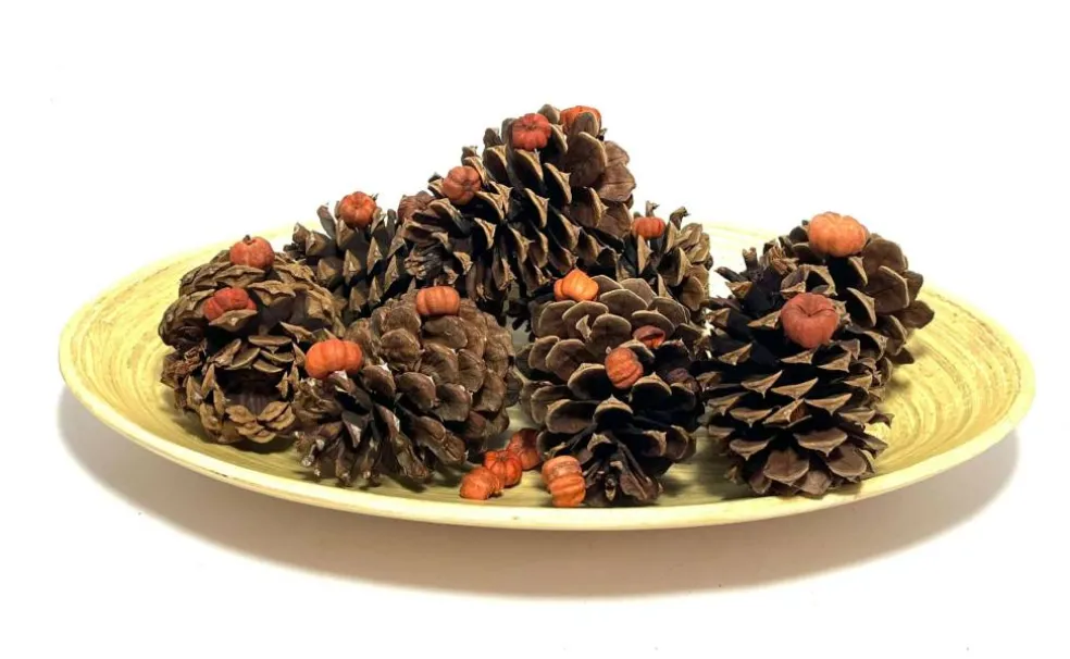 3qt. Pecan Caramel Scented Pinecones by Ashland®
