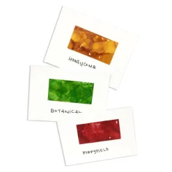 Ranger Tim Holtz® Alcohol Inks