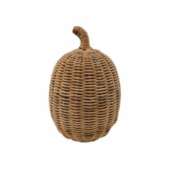 9.5" Rattan Pumpkin Tabletop Décor by Ashland®