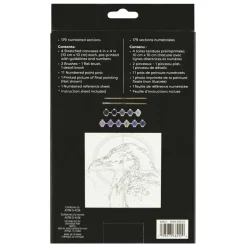 Raven Paint-by-Number Gallery Mini Kit by Artist's Loft®