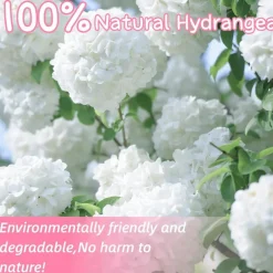 1500+ Real Dried Hydrangea Flower Petals