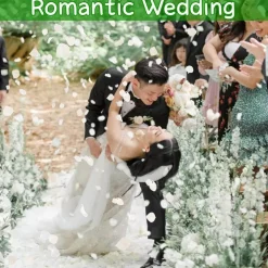 2500+ Real Dried Lvory White Hydrangea Petals