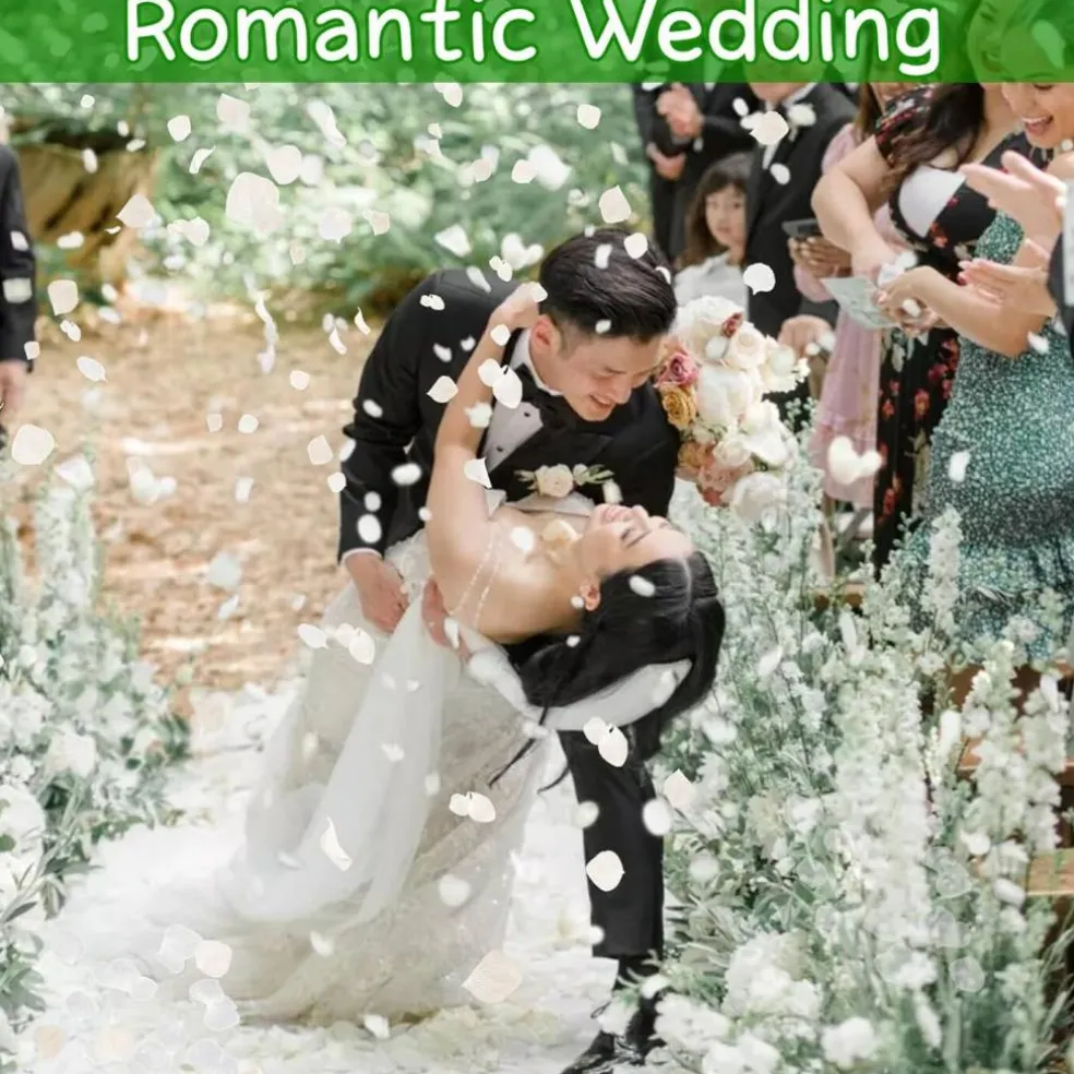 2500+ Real Dried Lvory White Hydrangea Petals