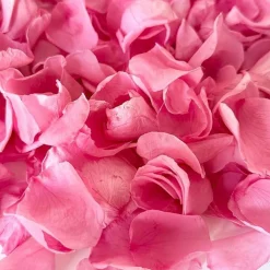 180+ Real Pink Rose Petals - 1.75oz Freeze-Dried Flower Confetti for Weddings & Proposals - Biodegradable Dried Floral Decor for Romantic Nights, Table Centerpieces & Flower Girl Baskets