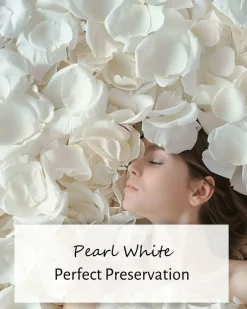 REAL Rose Petals, Pearl White Freeze-Dried Petals Biodegradabel Wedding Natural Confetti, Perfectly Preserved Flower Petals