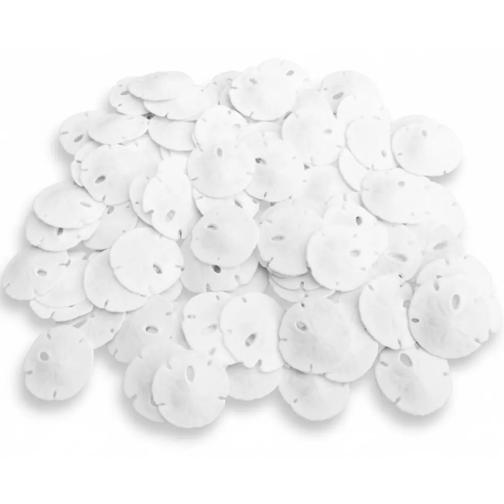 Real Sand Dollars Under 1" (100 Pack) – Sand Dollar Wall Art & Ornament Set – Beach Wedding Decor – Nautical Party Table Decor – Mini Shells for Crafts – Coastal Gifts