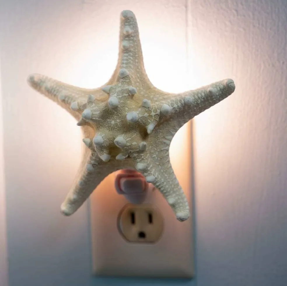 Real Starfish Night Light Knobby Starfish Nautical Night Light Beach Night Light Plug in Bathroom Night Light Seashell Light Nautical Night Light Plug in
