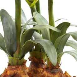 26" Red Amaryllis Arrangement in Ceramic Planter