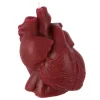 Red Anatomical Heart Candle by Ashland®