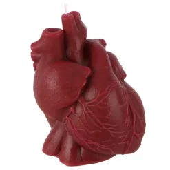 Red Anatomical Heart Candle by Ashland®