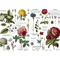 Redesign Decor Transfers Vintage Botanical 48