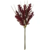 12" Red Foxtail Mini Bundle by Ashland®