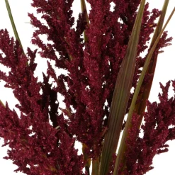 12" Red Foxtail Mini Bundle by Ashland®