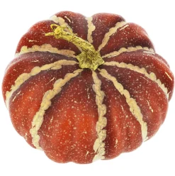 9.5" Red Orange Decorative Pumpkin by Ashland®