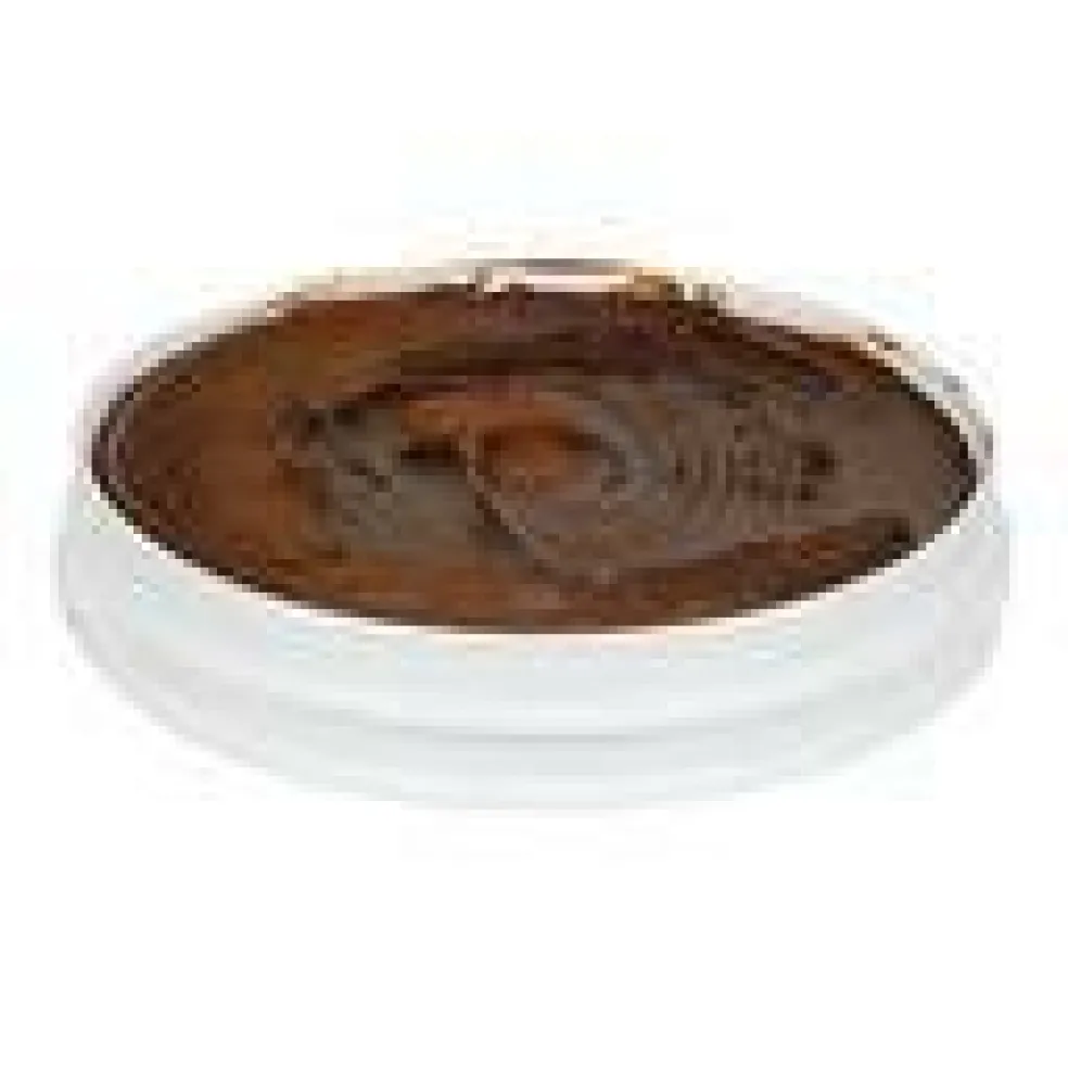 Rich JW Allen Classic Chocolate Cake and Donut Icing Ready to Use 23 Pound