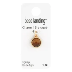 Round Tiger's Eye Charm by Bead Landing™