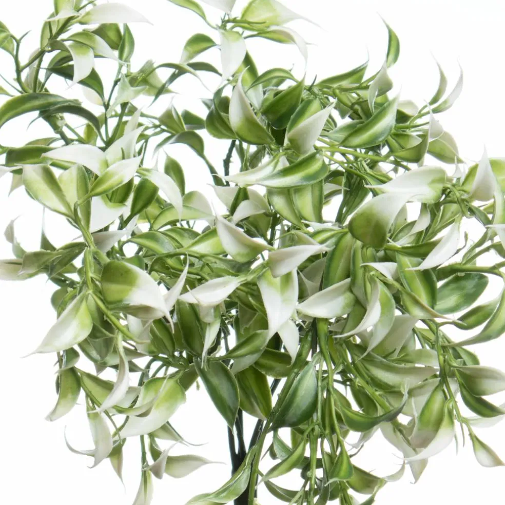 13" Ruscus Bush by Ashland®