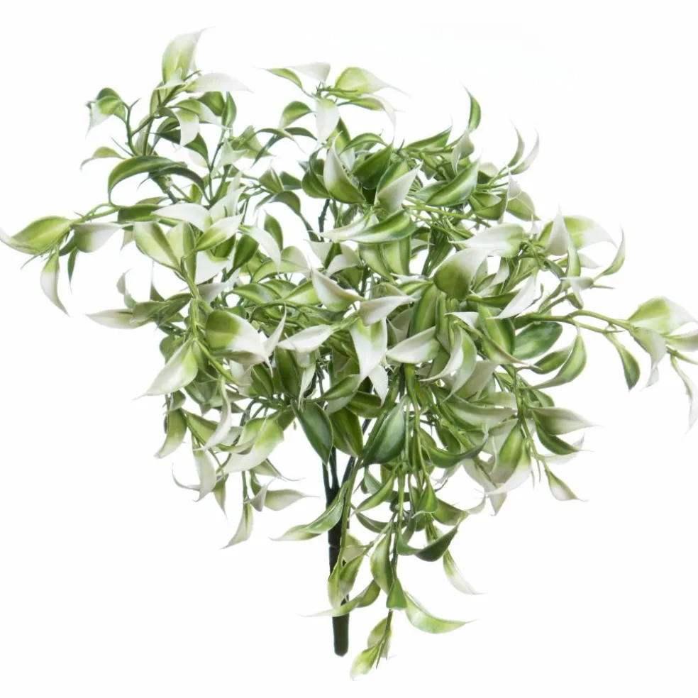 13" Ruscus Bush by Ashland®