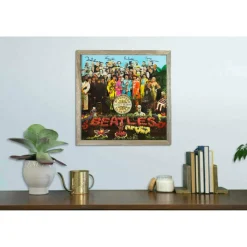 Rustic Farmhouse Reclaimed 12.5" Standard Vinyl Record Album Display Wood Frame