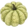 4.8" Sage Decorative Pumpkin by Ashland®