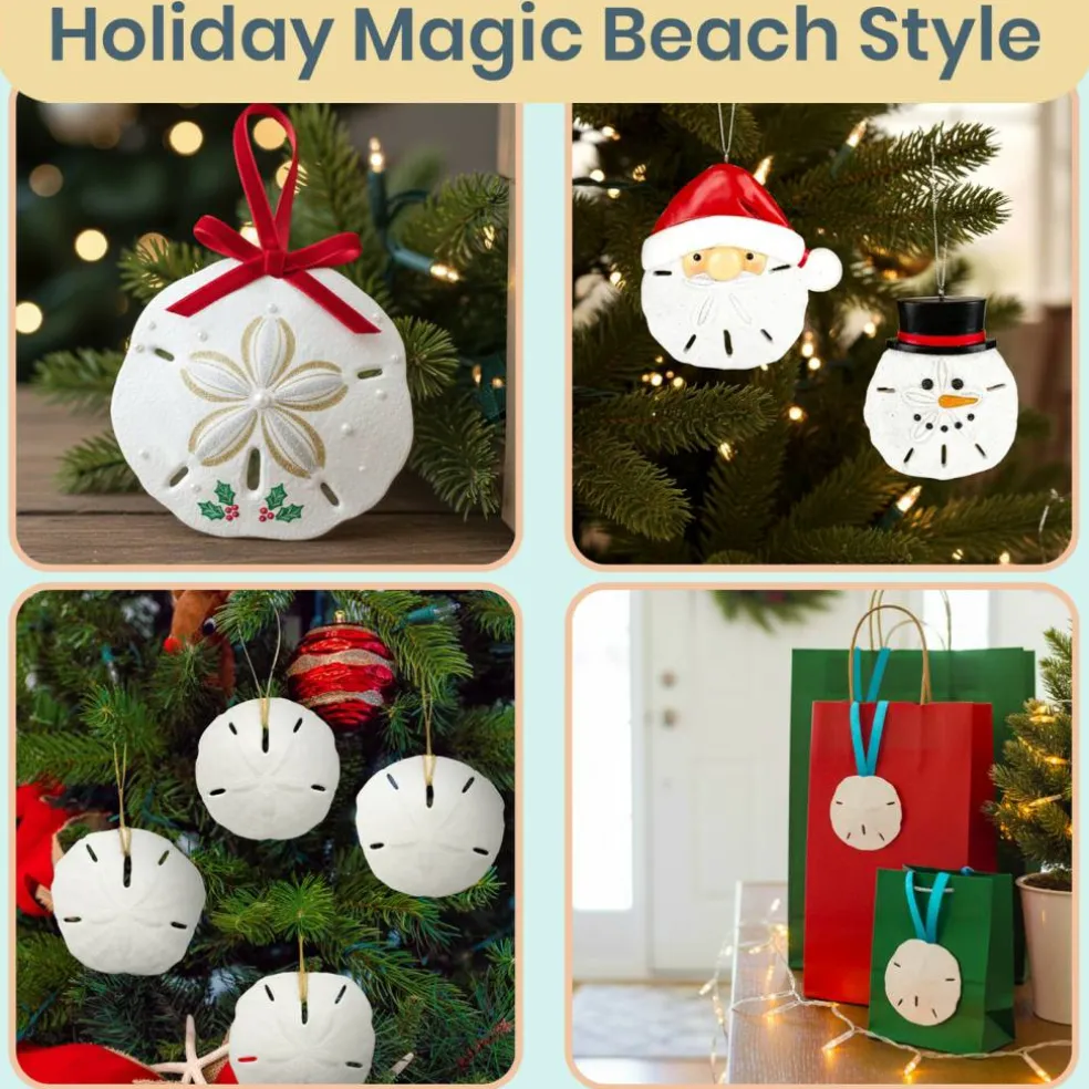 Sand Dollar Set of 10 Real Sand Dollars 3"-3 1/2" Sand Dollar Shells